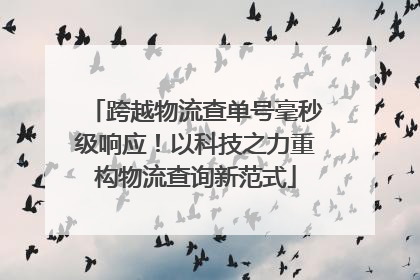 跨越物流查单号毫秒级响应！以科技之力重构物流查询新范式