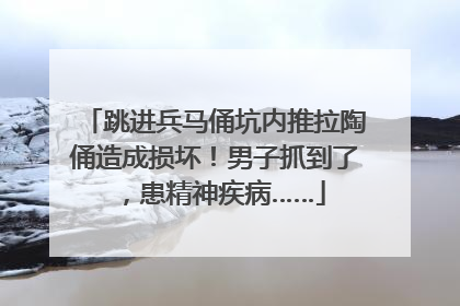 跳进兵马俑坑内推拉陶俑造成损坏！男子抓到了，患精神疾病……
