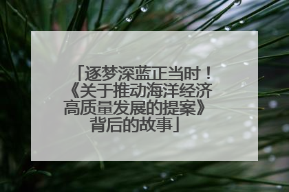 逐梦深蓝正当时！《关于推动海洋经济高质量发展的提案》背后的故事