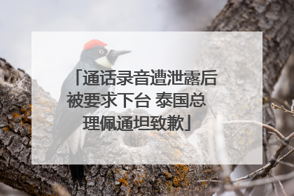 通话录音遭泄露后被要求下台 泰国总理佩通坦致歉