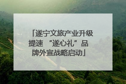 遂宁文旅产业升级提速 “遂心礼”品牌外宣战略启动