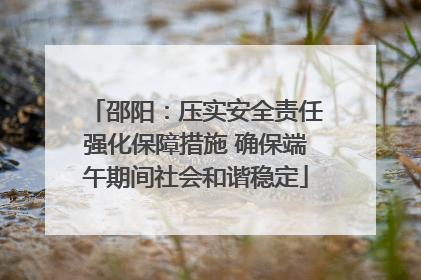 邵阳：压实安全责任强化保障措施 确保端午期间社会和谐稳定