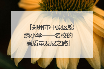 郑州市中原区锦绣小学——名校的高质量发展之路
