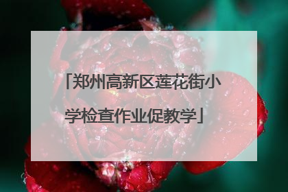 郑州高新区莲花街小学检查作业促教学