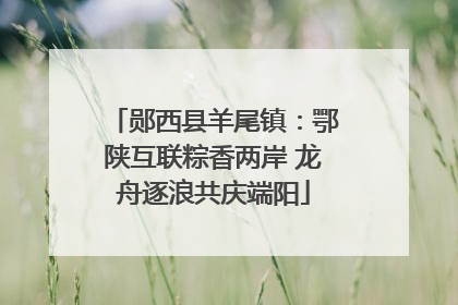 郧西县羊尾镇：鄂陕互联粽香两岸 龙舟逐浪共庆端阳