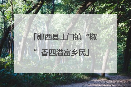 郧西县土门镇“椒”香四溢富乡民