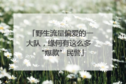 野生流量偏爱的一大队，缘何有这么多“爆款”民警