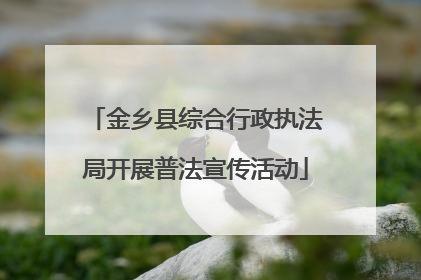 金乡县综合行政执法局开展普法宣传活动
