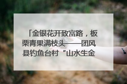 金银花开致富路，板栗青果满枝头——团风县钓鱼台村“山水生金”谱写共富新篇章