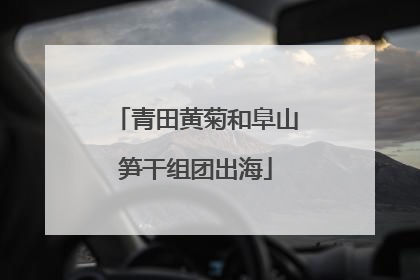 青田黄菊和阜山笋干组团出海