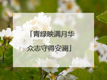 青绿映满月华 众志守得安澜