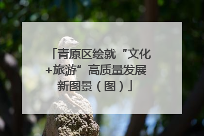 青原区绘就“文化+旅游”高质量发展新图景（图）