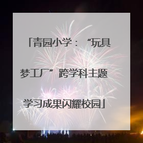 青园小学：“玩具梦工厂”跨学科主题学习成果闪耀校园