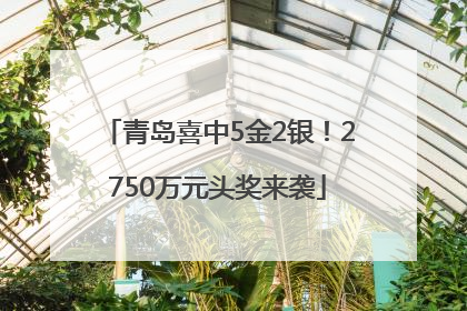 青岛喜中5金2银！2750万元头奖来袭
