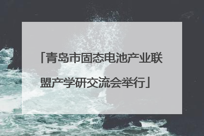青岛市固态电池产业联盟产学研交流会举行