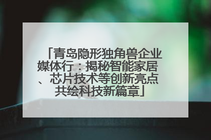 青岛隐形独角兽企业媒体行：揭秘智能家居、芯片技术等创新亮点 共绘科技新篇章