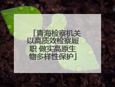 青海检察机关以高质效检察履职 做实高原生物多样性保护