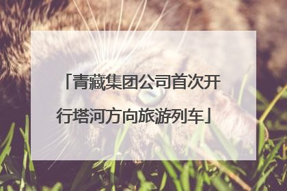 青藏集团公司首次开行塔河方向旅游列车