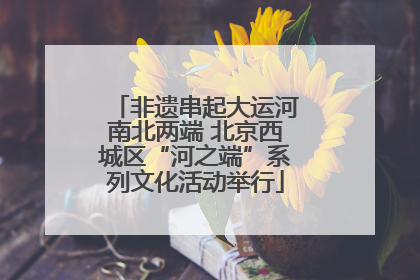 非遗串起大运河南北两端 北京西城区“河之端”系列文化活动举行