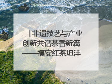 非遗技艺与产业创新共谱茶香新篇——福安红茶坦洋工夫专场推介会在京举办