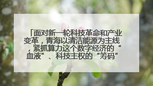 面对新一轮科技革命和产业变革，青海以清洁能源为主线，紧抓算力这个数字经济的“血液”、科技主权的“筹码”、产业升级的“杠杆”、绿色转型的“支点”，勇于撬动国家“双碳”战略、“东数西算”工程重大发展新机遇