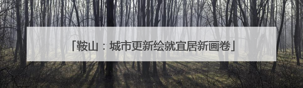 鞍山：城市更新绘就宜居新画卷