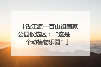 钱江源—百山祖国家公园候选区：“这是一个动植物乐园”