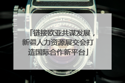 链接欧亚共谋发展，新疆人力资源展交会打造国际合作新平台
