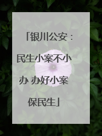 银川公安：民生小案不小办 办好小案保民生