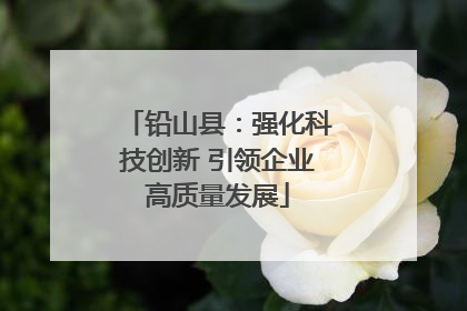 铅山县：强化科技创新 引领企业高质量发展