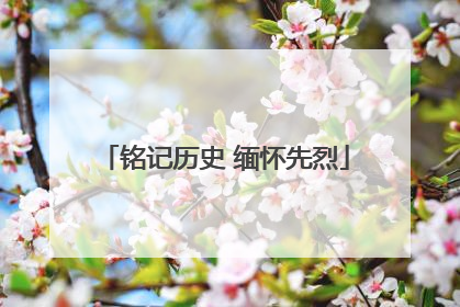 铭记历史 缅怀先烈