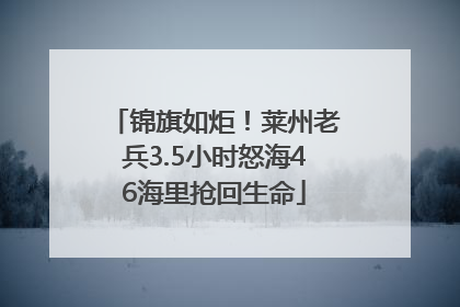 锦旗如炬！莱州老兵3.5小时怒海46海里抢回生命