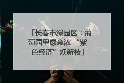 长春市绿园区：葡萄园里绿意浓 “紫色经济”焕新枝