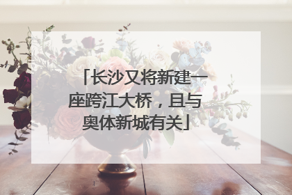 长沙又将新建一座跨江大桥，且与奥体新城有关