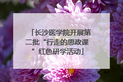 长沙医学院开展第二批“行走的思政课”红色研学活动