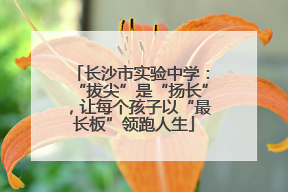 长沙市实验中学：“拔尖”是“扬长”，让每个孩子以“最长板”领跑人生