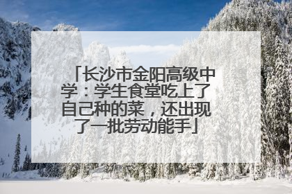 长沙市金阳高级中学：学生食堂吃上了自己种的菜，还出现了一批劳动能手