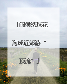 闽侯绣球花海成近郊游“顶流”