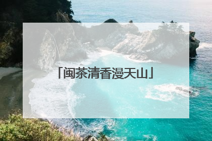闽茶清香漫天山