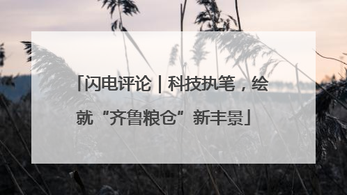 闪电评论｜科技执笔，绘就“齐鲁粮仓”新丰景