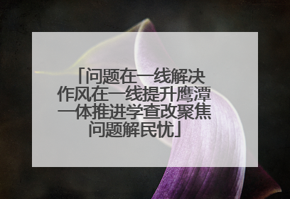 问题在一线解决 作风在一线提升鹰潭一体推进学查改聚焦问题解民忧