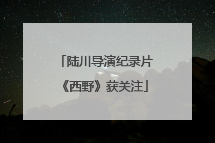 陆川导演纪录片《西野》获关注