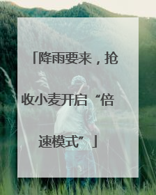 降雨要来，抢收小麦开启“倍速模式”