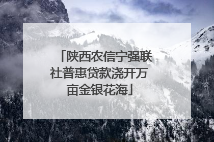 陕西农信宁强联社普惠贷款浇开万亩金银花海