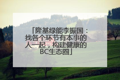 隆基绿能李振国：找各个环节有本事的人一起，构建健康的BC生态圈