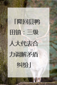 隆回县鸭田镇：三级人大代表合力调解矛盾纠纷