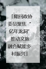 隆回政协委员聚焦“亿年龙洞” 推动文旅融合赋能乡村振兴