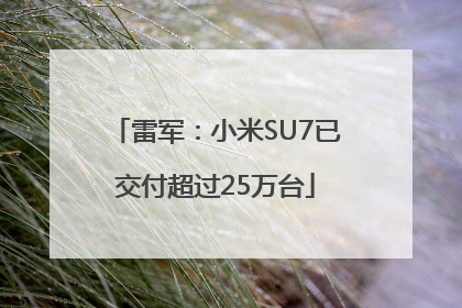 雷军：小米SU7已交付超过25万台
