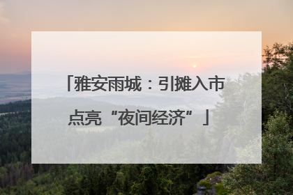 雅安雨城：引摊入市 点亮“夜间经济”