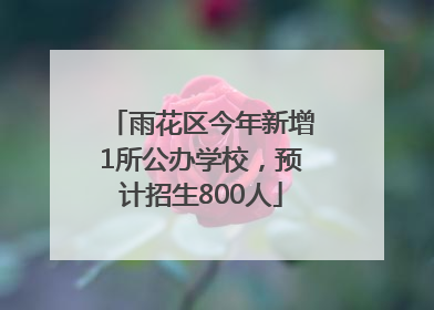 雨花区今年新增1所公办学校，预计招生800人